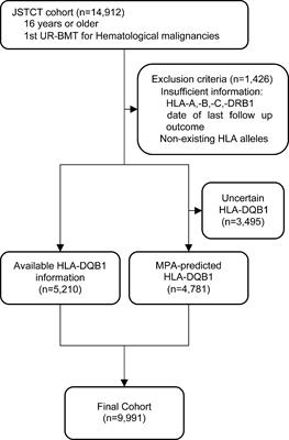 Impact of HLA Epitope Matching on Outcomes After Unrelated Bone Marrow Transplantation